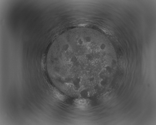 X0000076070181200610061611