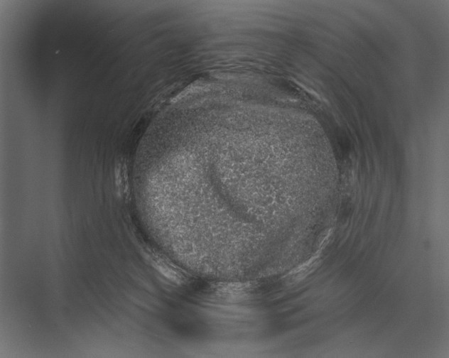 X0000076070182200610061611