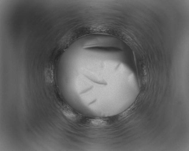 X0000076070183200610061611