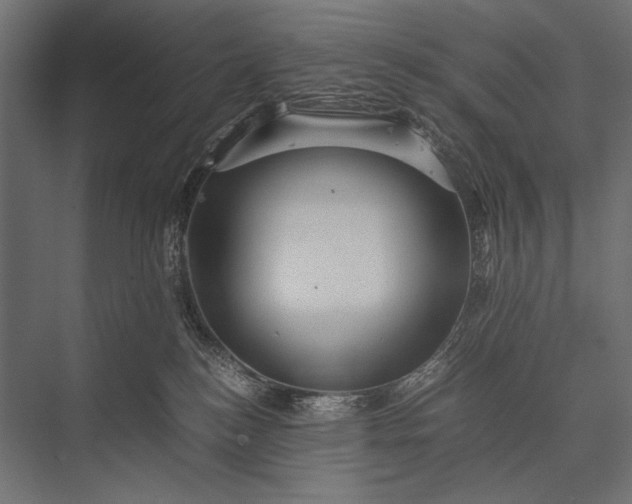 X0000076070184200610061612