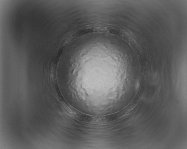 X0000076070185200610061612