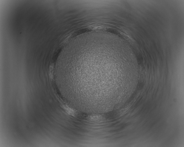 X0000076070189200610061612