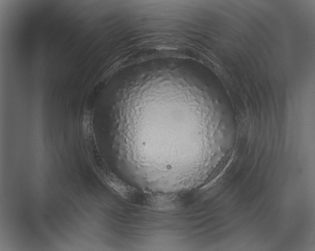 X0000076070191200610061612