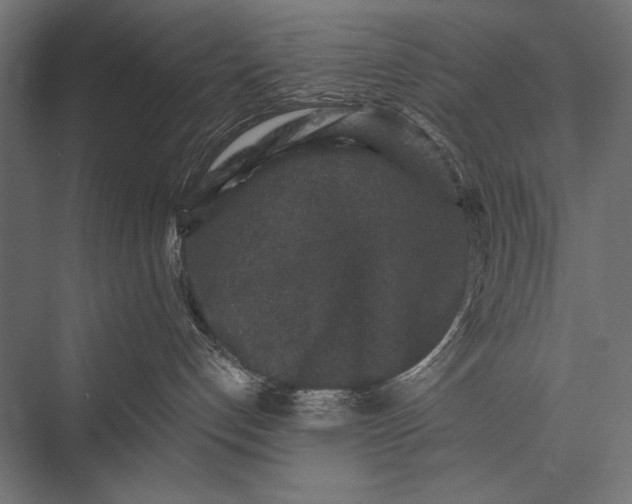 X0000076070192200610061612