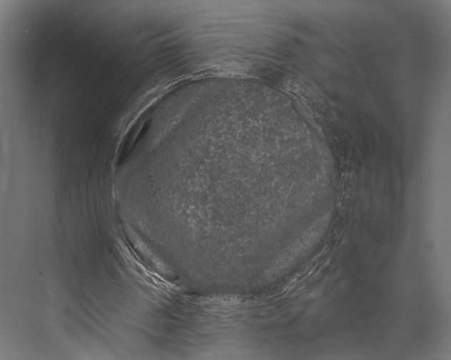 X0000076070194200610061611