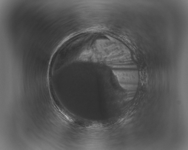 X0000076070196200610061611