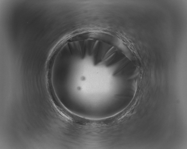 X0000076070197200610061611