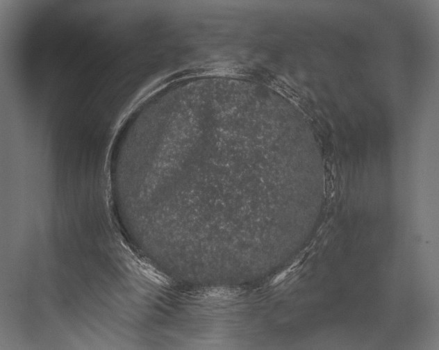 X0000076070198200610061611