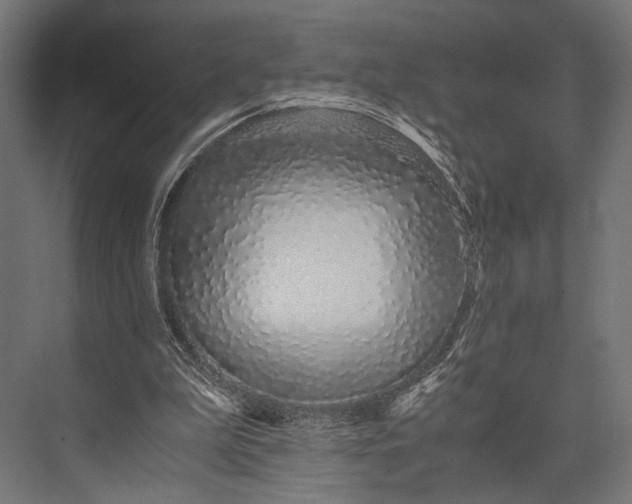 X0000076070199200610061611