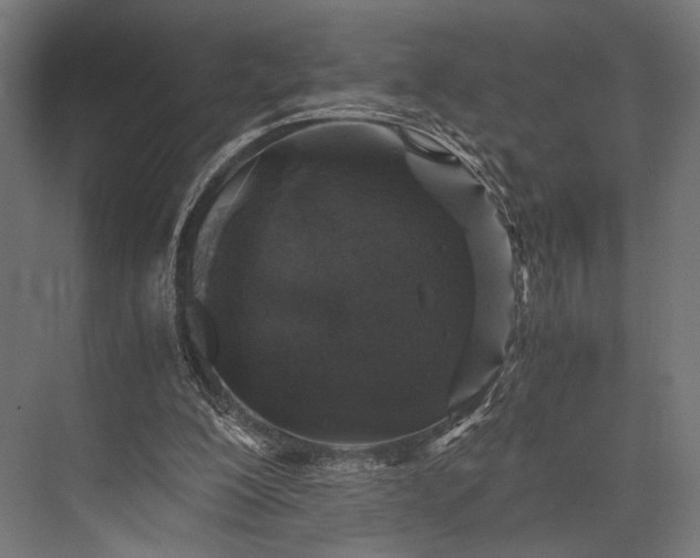 X0000076070200200610061611