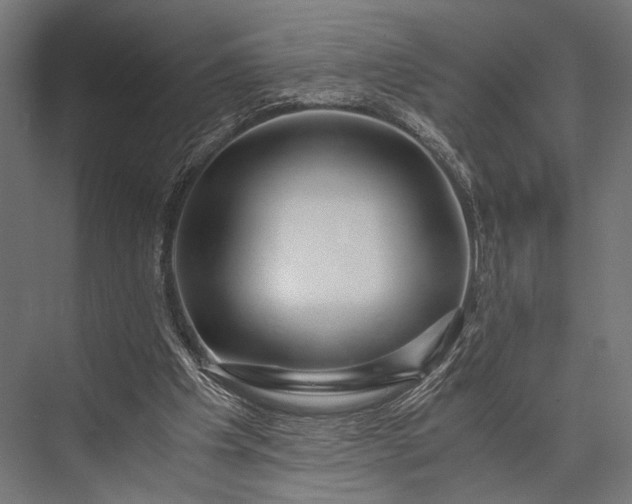 X0000076070201200610061611