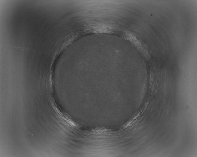 X0000076070202200610061611