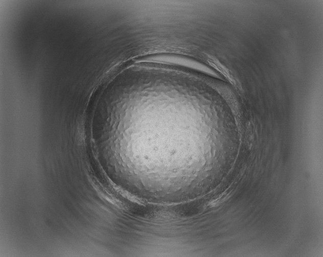 X0000076070203200610061611