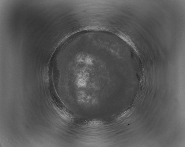 X0000076070204200610061611