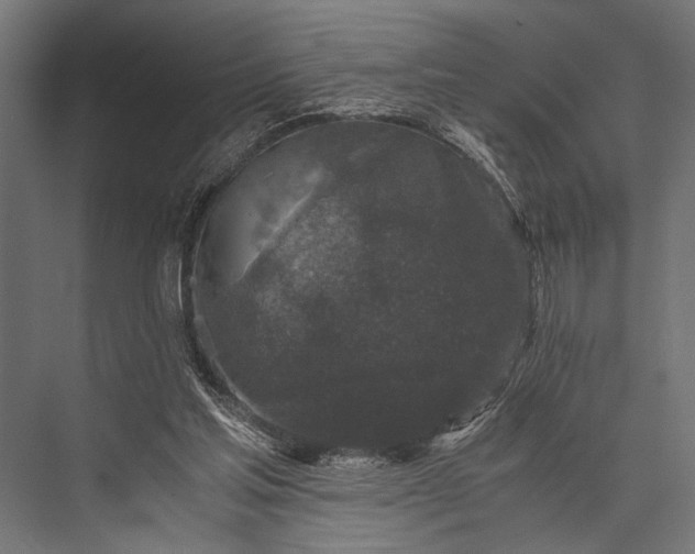 X0000076070205200610061611