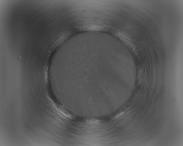 X0000076070206200610061611