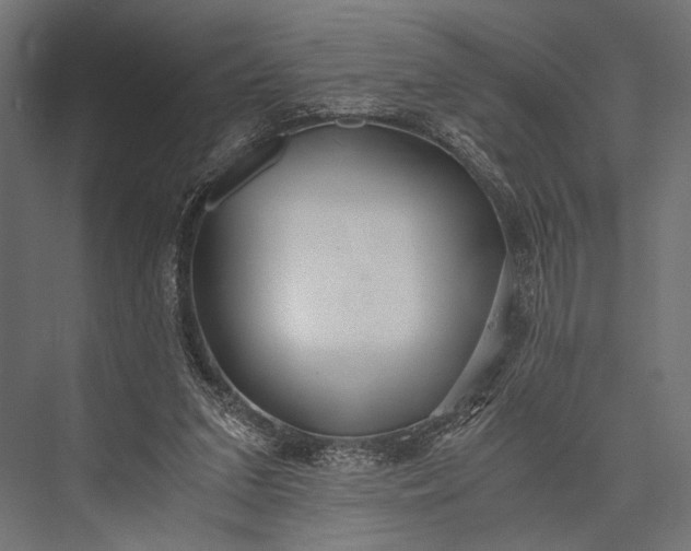 X0000076070207200610061611