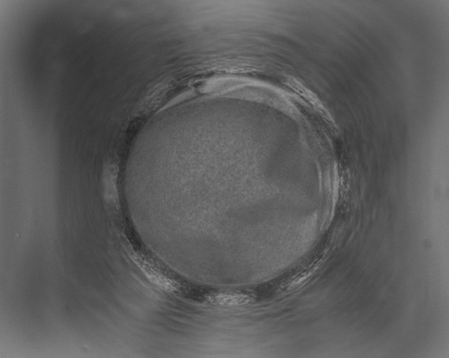 X0000076070209200610061611