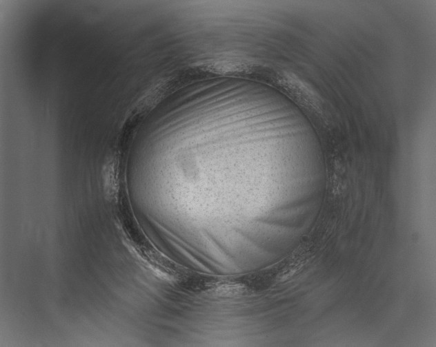 X0000076070210200610061611