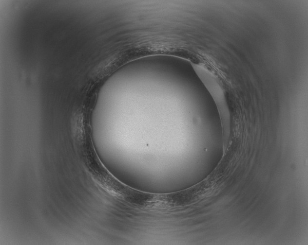 X0000076070211200610061611