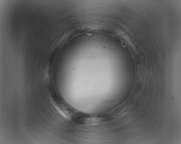 X0000076070212200610061611