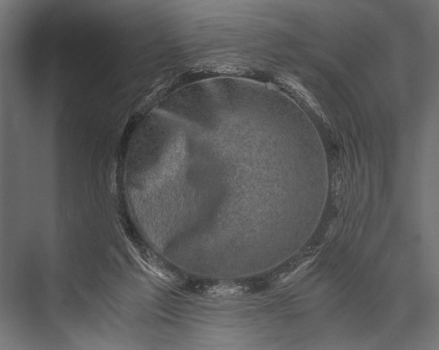 X0000076070213200610061610