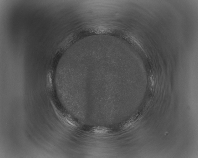 X0000076070214200610061610