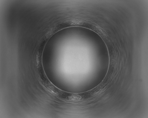 X0000076070215200610061610