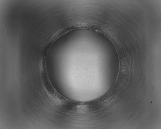 X0000076070216200610061610