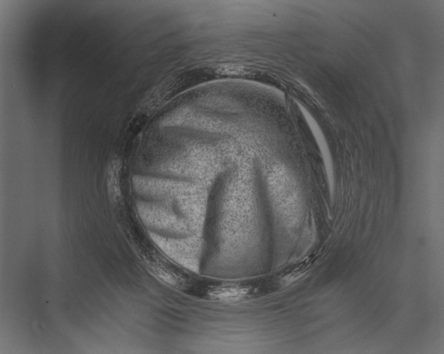 X0000076070217200610061610