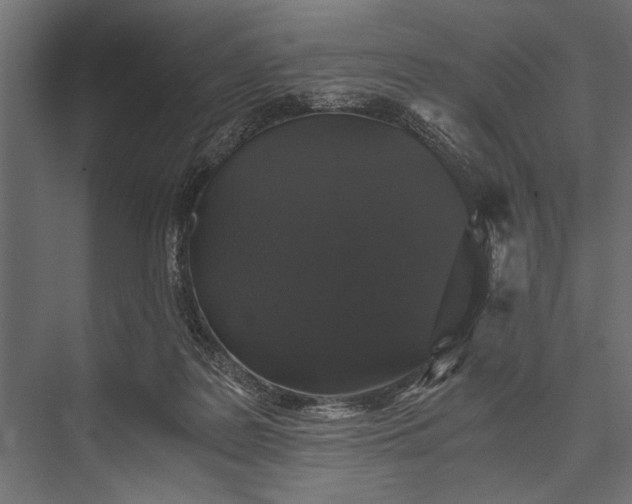 X0000076070219200610061610