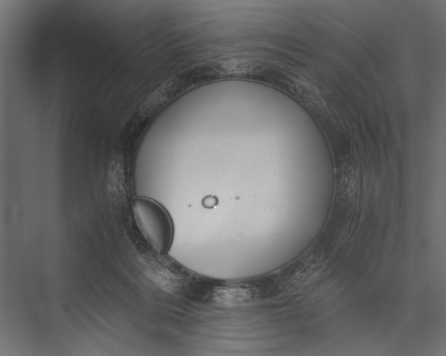 X0000076070220200610061610