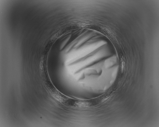 X0000076070221200610061610