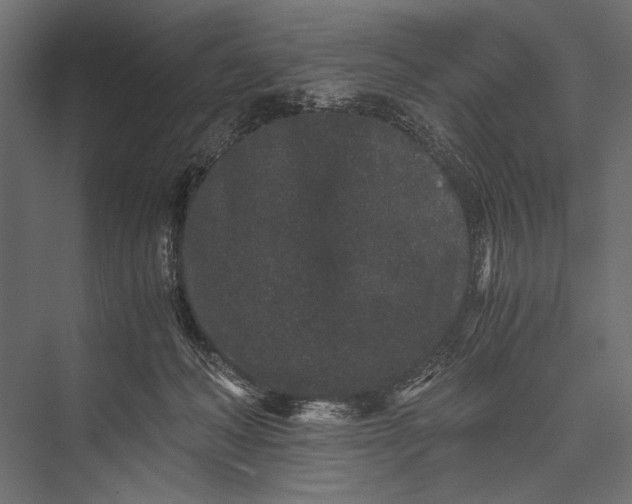 X0000076070222200610061610