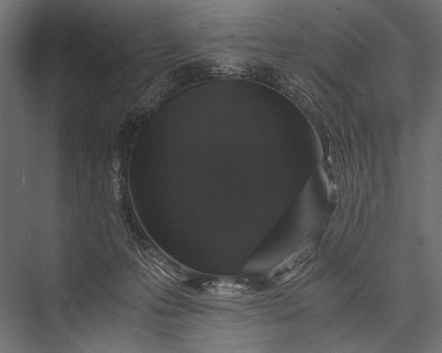 X0000076070223200610061610