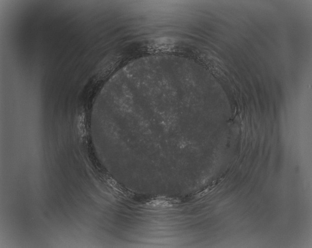 X0000076070224200610061610