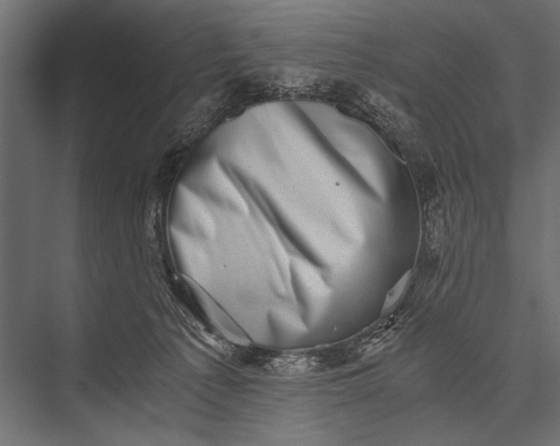 X0000076070225200610061610