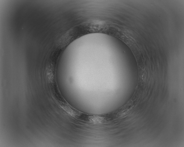 X0000076070226200610061610