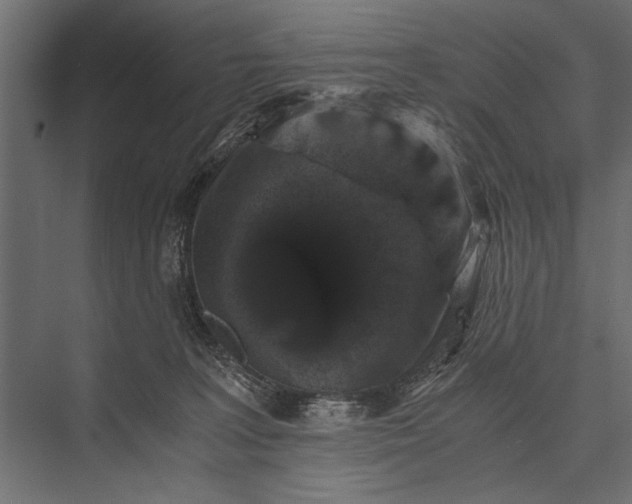 X0000076070227200610061610