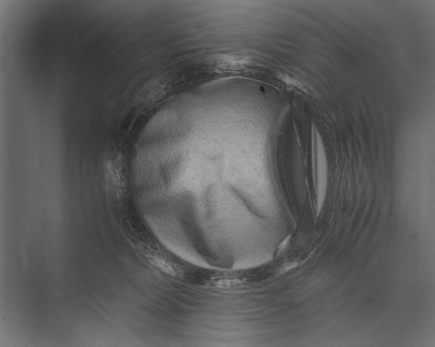 X0000076070228200610061610