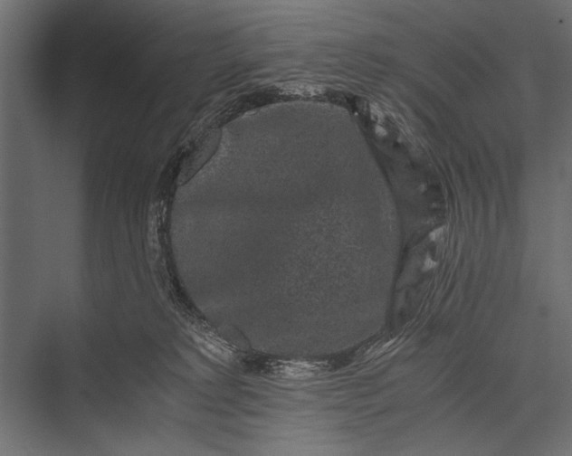 X0000076070229200610061610