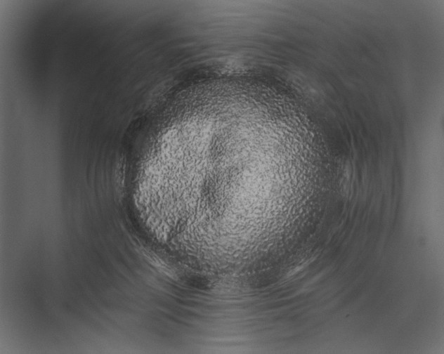 X0000076070230200610061610