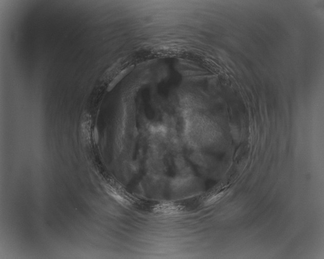 X0000076070231200610061610