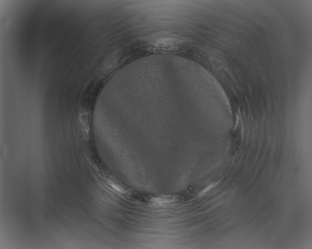 X0000076070232200610061610