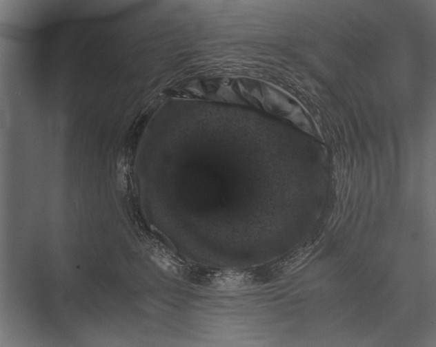 X0000076070235200610061610