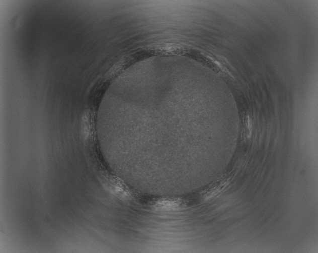 X0000076070236200610061610