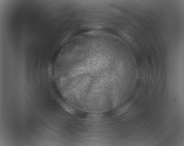 X0000076070238200610061610