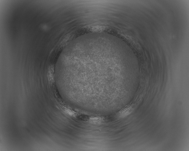 X0000076070240200610061610