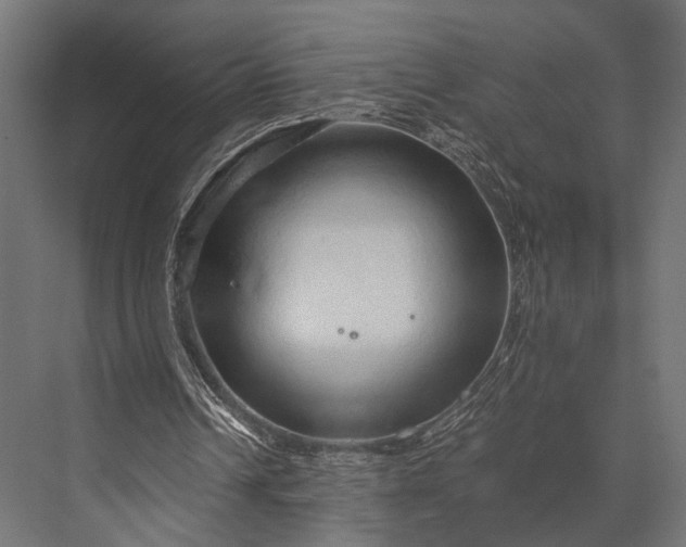 X0000076070242200610061609