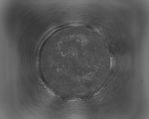 X0000076070243200610061609